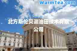 北方斯伦贝谢油田技术有限公司