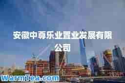 安徽中尊乐业置业发展有限公司