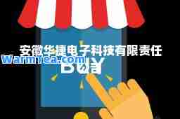 安徽华捷电子科技有限责任公司