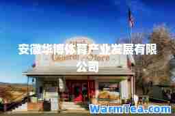 安徽华博体育产业发展有限公司