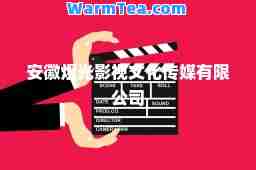安徽煜光影视文化传媒有限公司