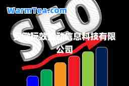 安徽玩效互动信息科技有限公司
