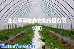 北京草莓在线文化传播有限公司