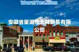 安徽省巢湖市天材贸易有限公司