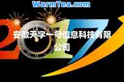 安徽天字一号信息科技有限公司
