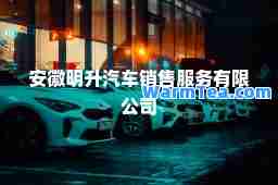 安徽明升汽车销售服务有限公司