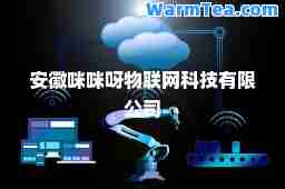 安徽呀物联网科技有限公司