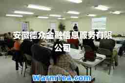 安徽德众金融信息服务有限公司