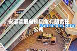 安徽德爱电梯销售有限责任公司