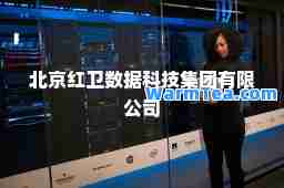 北京红卫数据科技集团有限公司