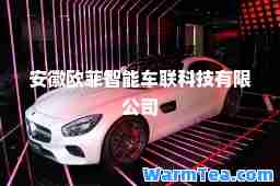 安徽欧菲智能车联科技有限公司