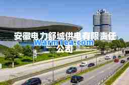 安徽电力舒城供电有限责任公司