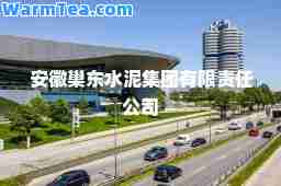 安徽巢东水泥集团有限责任公司