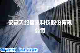 安徽天纪信息科技股份有限公司