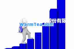 北京国美电子商务股份有限公司