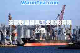 安徽联盟模具工业股份有限公司