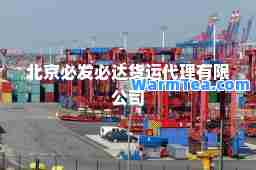 北京必发必达货运代理有限公司