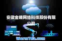 安徽金曦网络科技股份有限公司