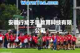 安徽行成于思教育科技有限公司