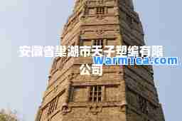 安徽省巢湖市天子塑编有限公司
