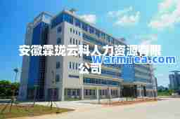 安徽霖珑云科人力资源有限公司