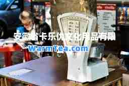 安徽省卡乐优文化用品有限公司