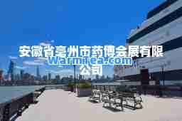 安徽省亳州市药博会展有限公司