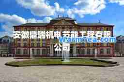 安徽鼎瑞机电节能工程有限公司
