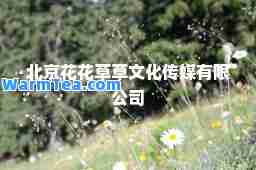 北京花花草草文化传媒有限公司