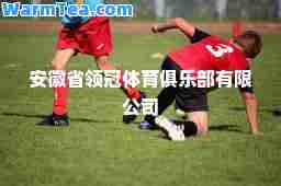 安徽省领冠体育俱乐部有限公司