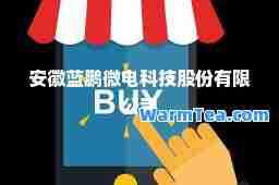 安徽蓝鹏微电科技股份有限公司