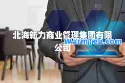 北海新力商业管理集团有限公司