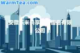 安徽乐米共享经济信息有限公司