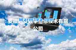 安徽超安数字信息技术有限公司