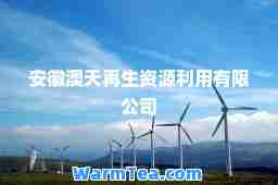 安徽澳天再生资源利用有限公司