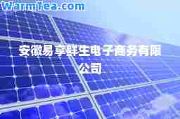 安徽易享鲜生电子商务有限公司