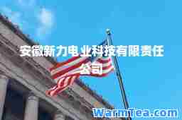 安徽新力电业科技有限责任公司