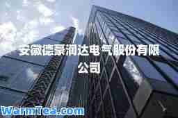 安徽德豪润达电气股份有限公司