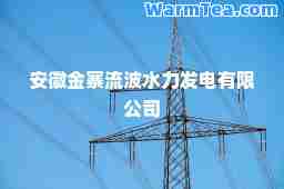 安徽金寨流波水力发电有限公司