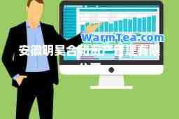 安徽明昊和资产管理有限公司