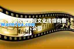 安徽视略影视文化传媒有限公司