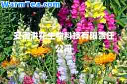 安徽洪花生物科技有限责任公司