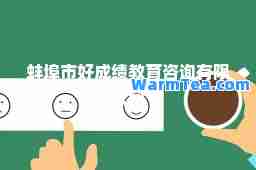 蚌埠市好成绩教育咨询有限公司