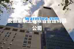 安徽巢东工程项目管理有限公司
