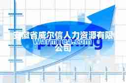 安徽省威尔信人力资源有限公司