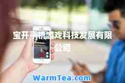 宝开手机游戏科技发展有限公司