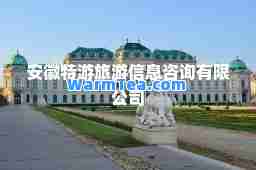 安徽特游旅游信息咨询有限公司