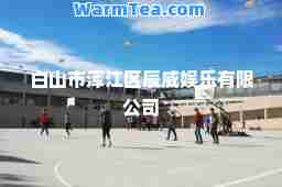 白山市浑江区辰威娱乐有限公司
