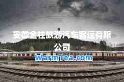 安徽金柱旅游汽车客运有限公司