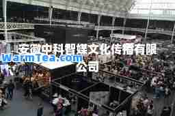 安徽中科智媒文化传播有限公司